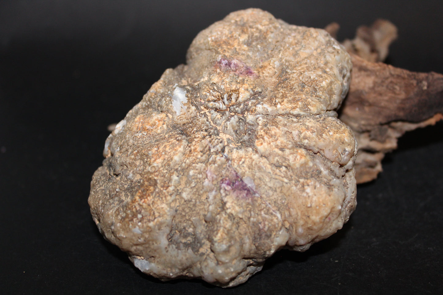 Geode - Clear Quartz (Pink - dyed) - med