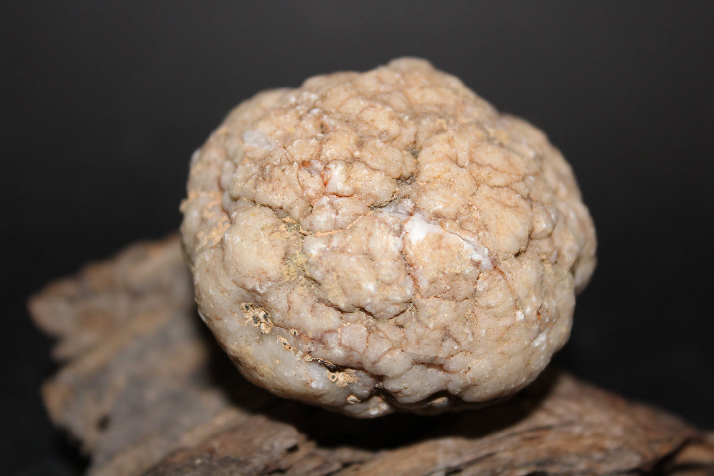 Geode - Clear Quartz - full geode - sml