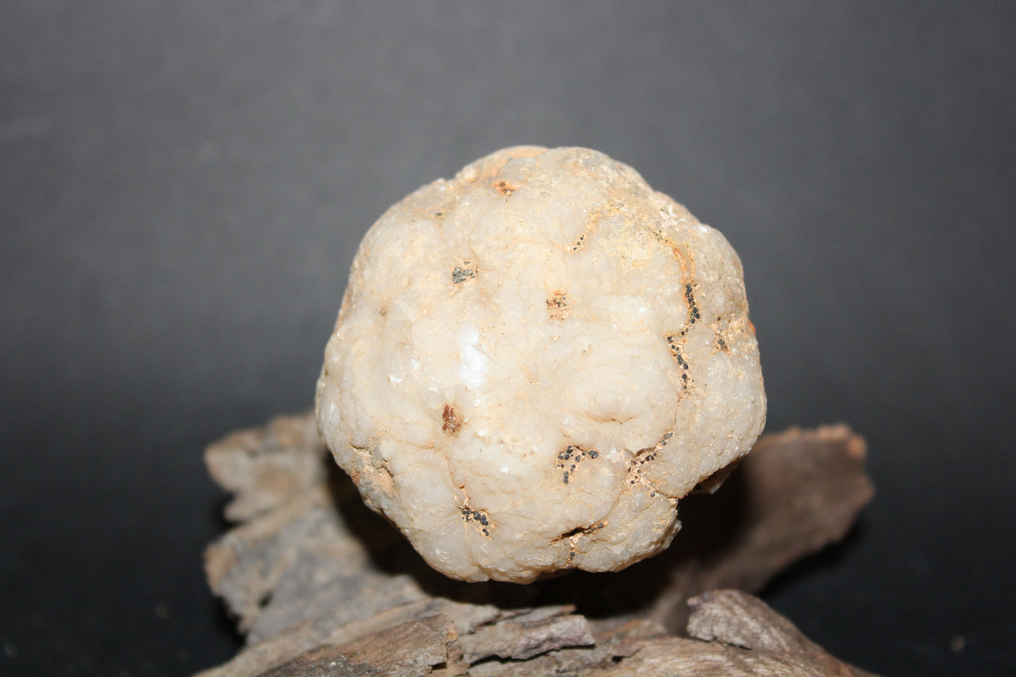 Geode - Clear Quartz - full geode - sml