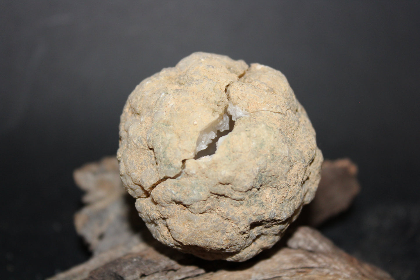 Geode - Clear Quartz - full geode - sml