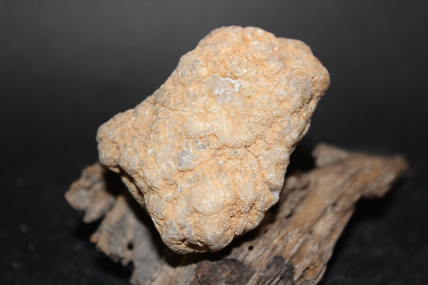 Geode - Clear Quartz - full geode - sml