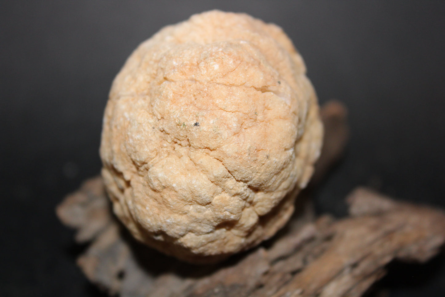 Geode - Clear Quartz - full geode - sml