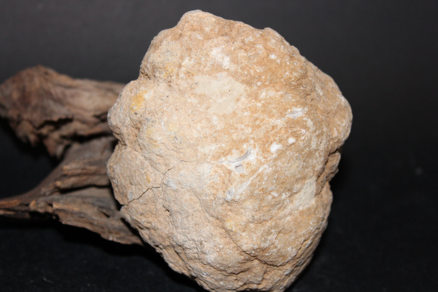 Geode - Clear Quartz - full geode - med