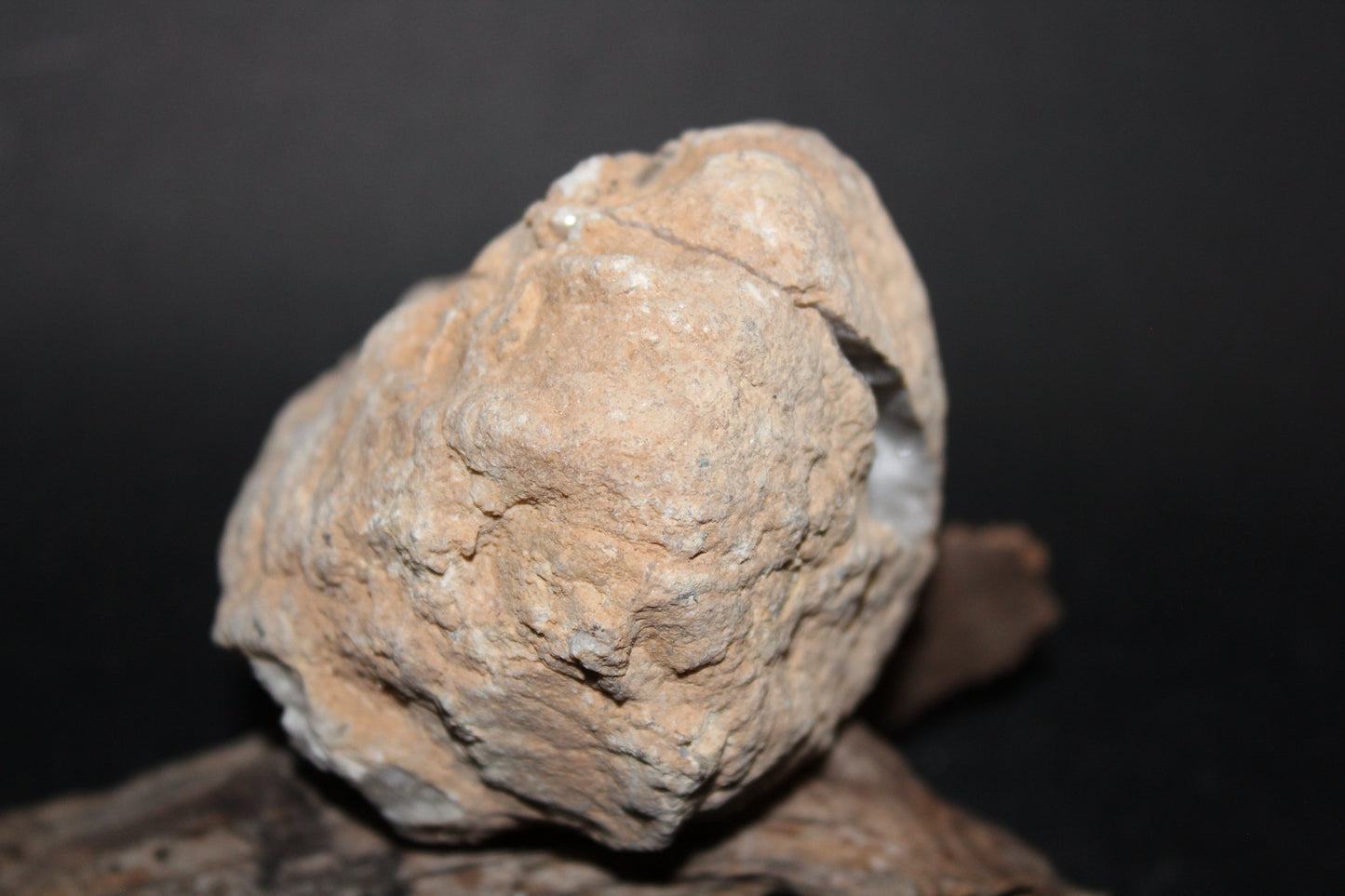 Geode - Clear Quartz - full geode - med