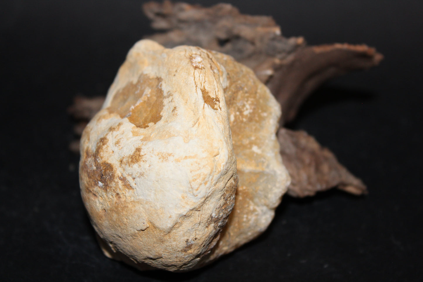 Geode - Clear Quartz - full geode - med