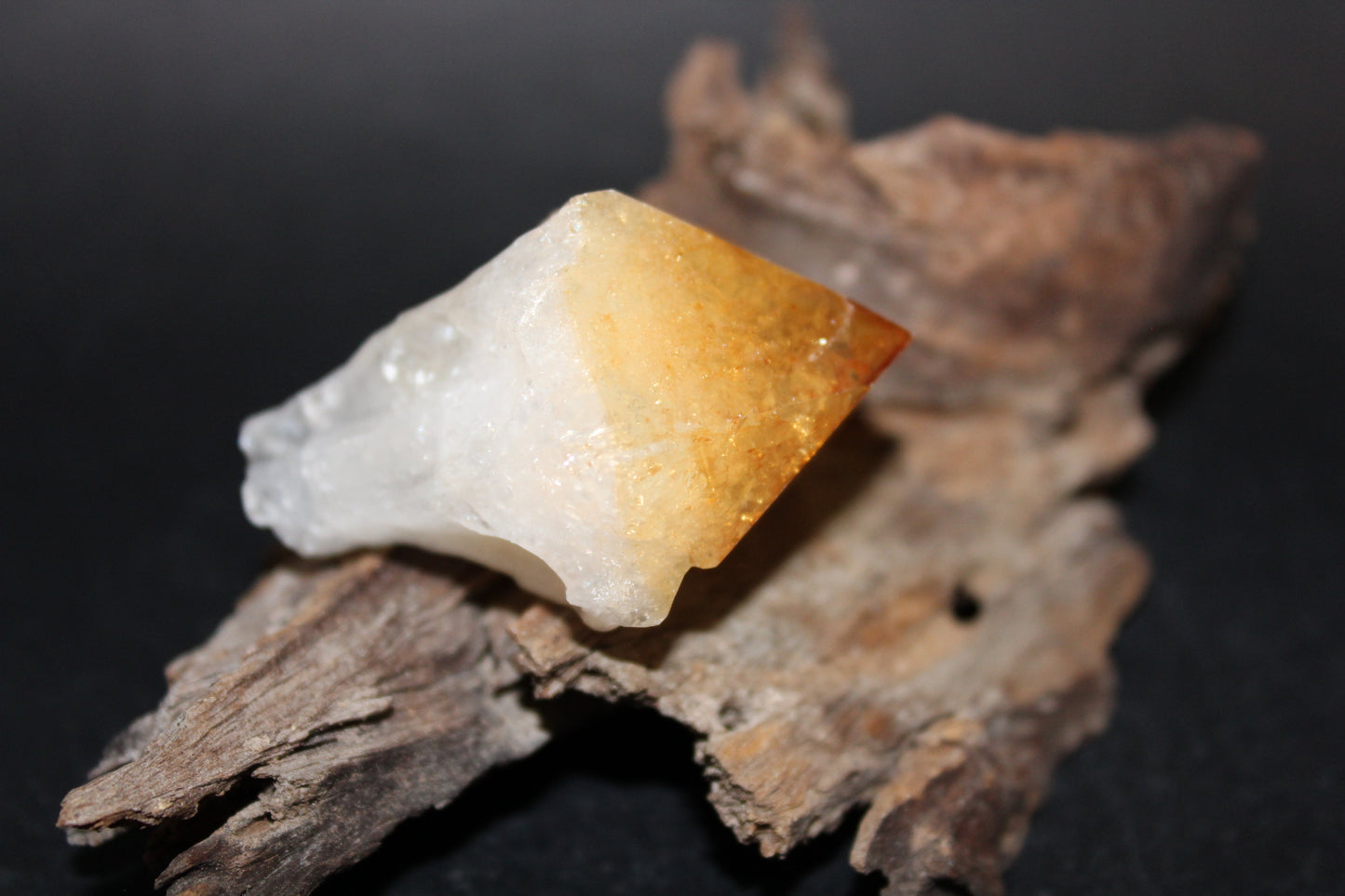 Point - Citrine (tooth) - lge