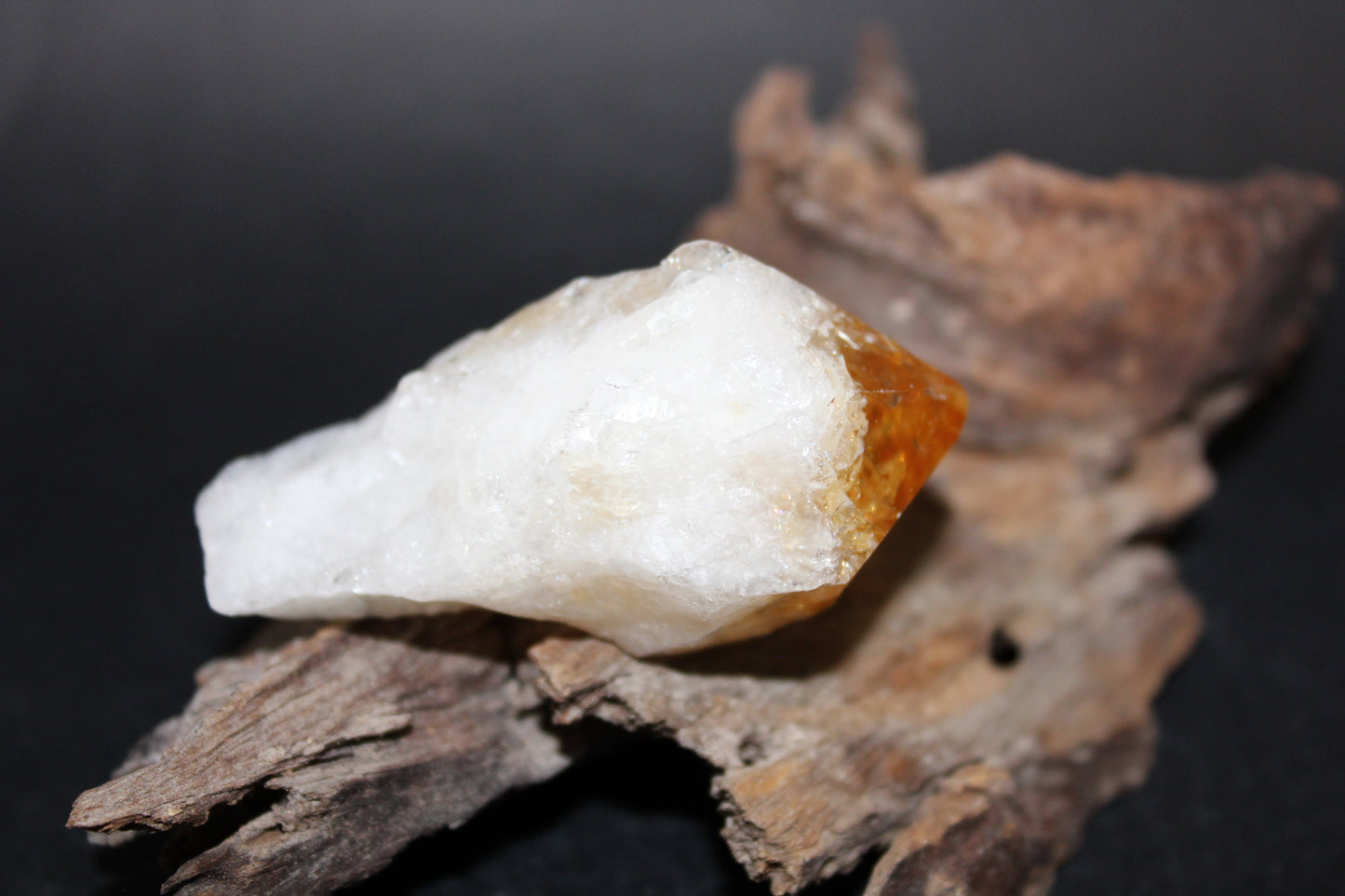 Point - Citrine (tooth) - lge