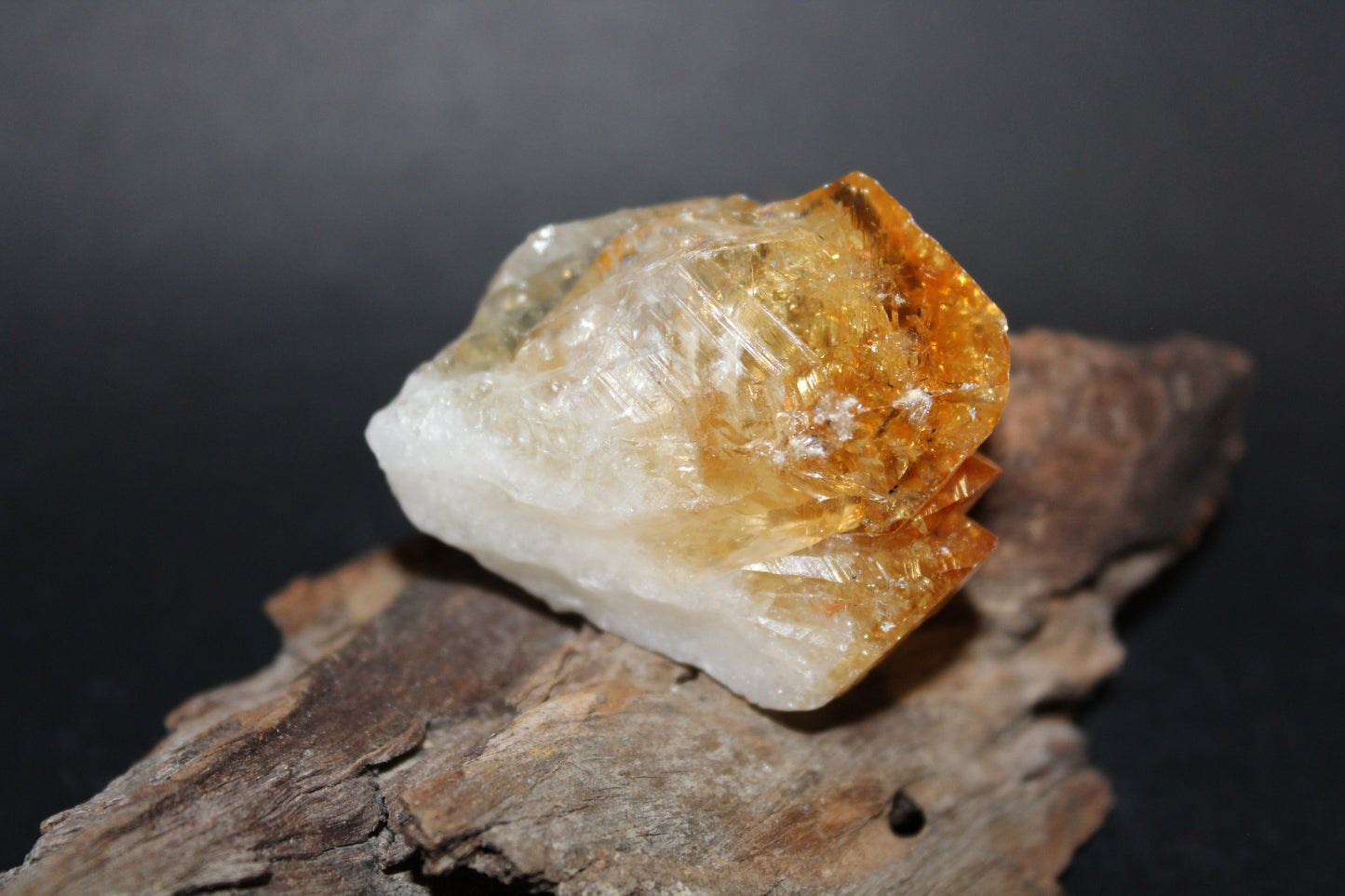 Point - Citrine (tooth) - lge