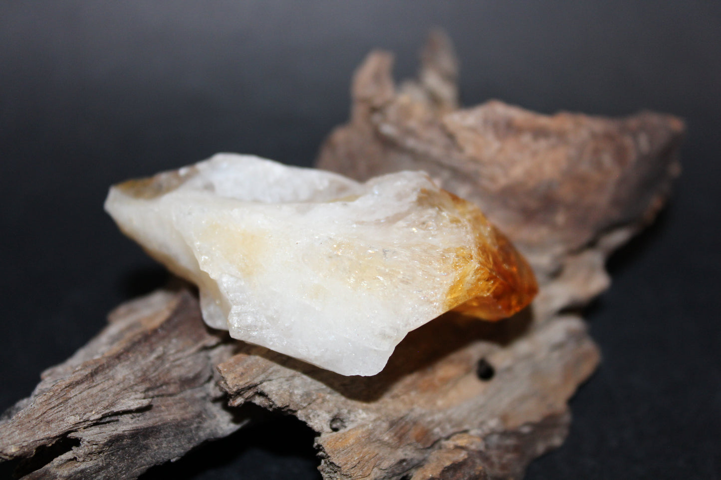 Point - Citrine (tooth) - lge