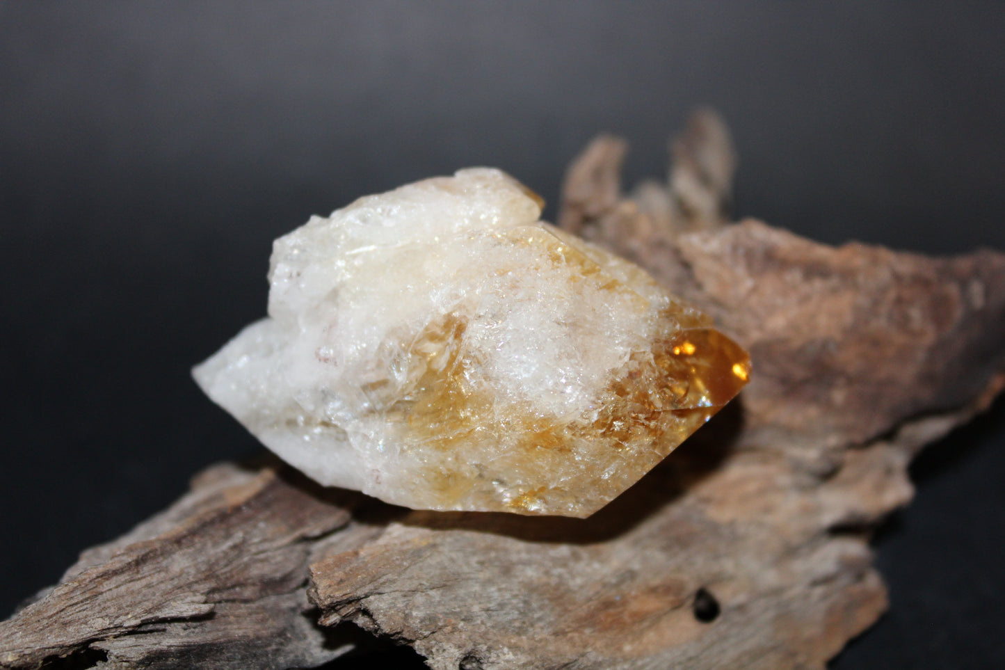 Point - Citrine (tooth) - lge