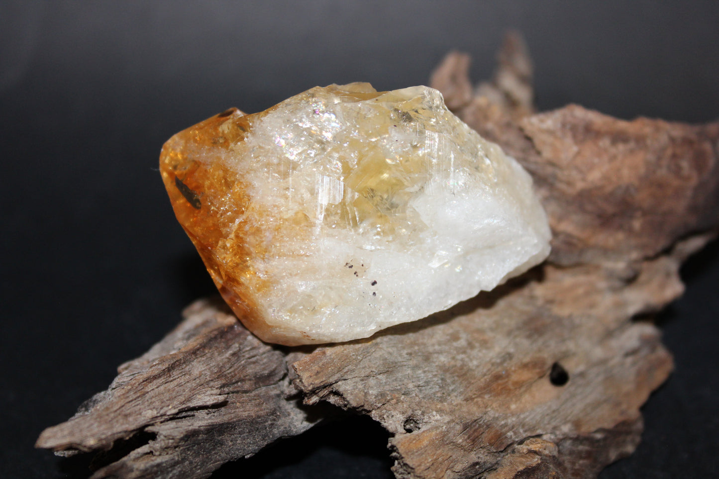 Point - Citrine (tooth) - lge