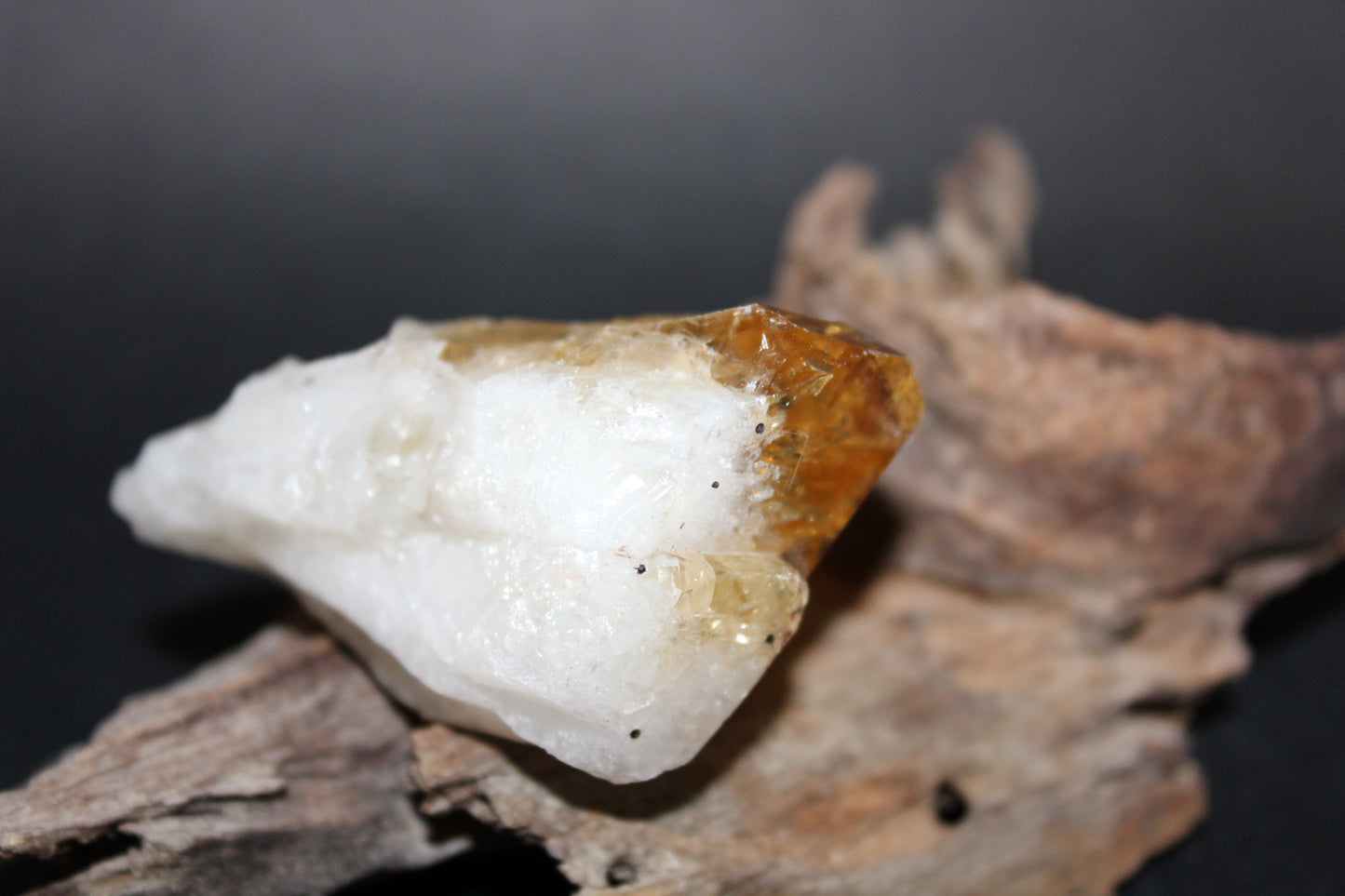 Point - Citrine (tooth) - lge