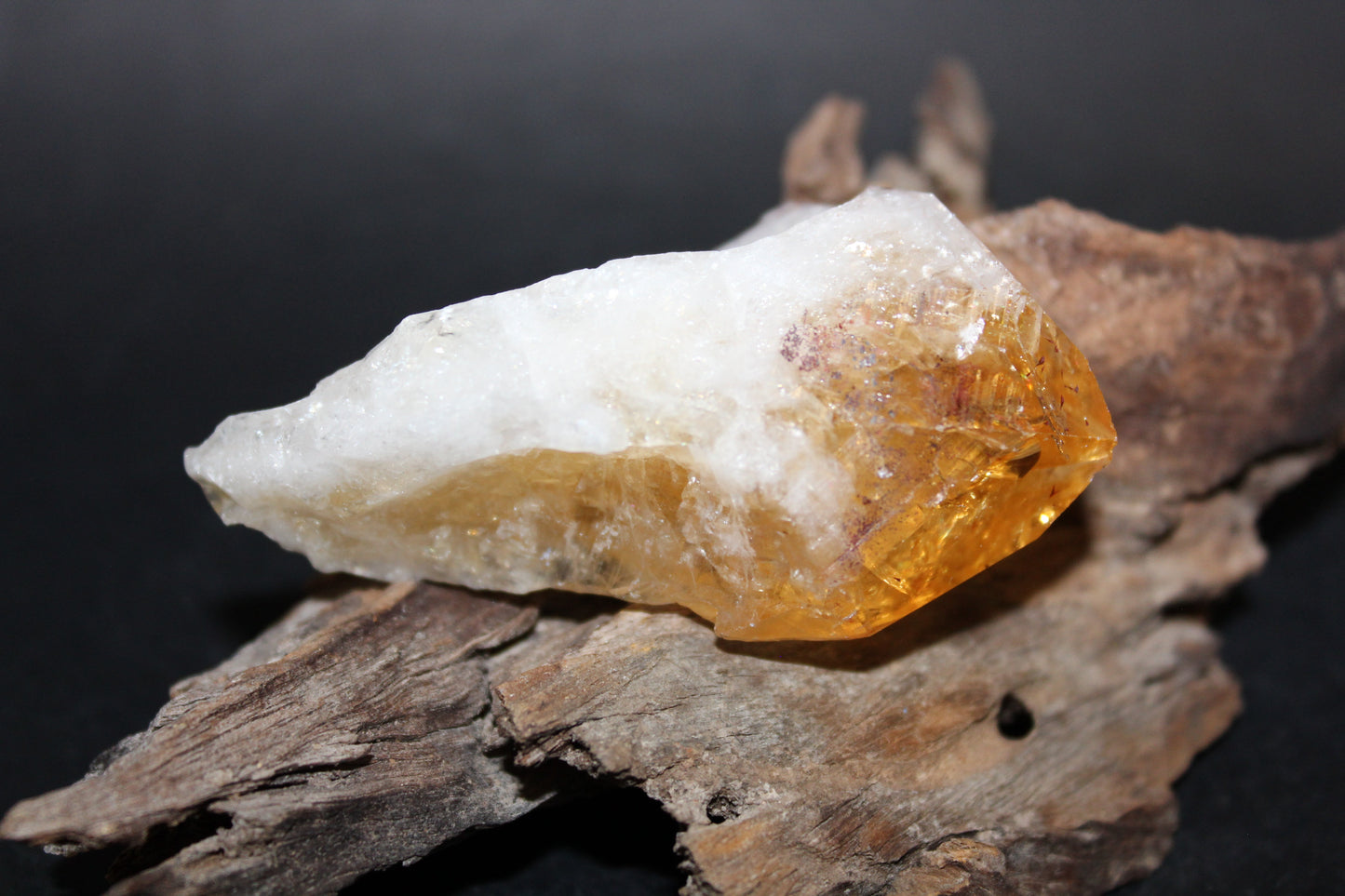 Point - Citrine (tooth) - lge