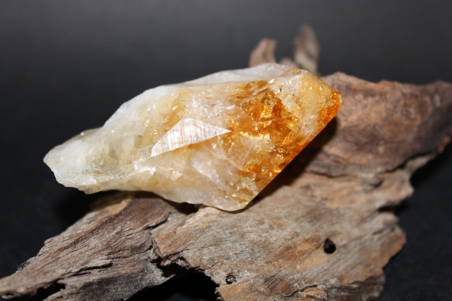 Point - Citrine (tooth) - lge