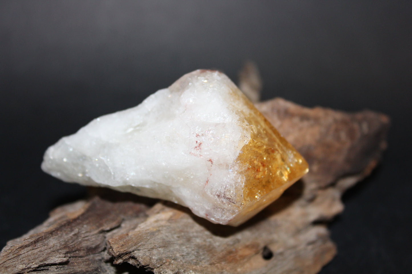 Point - Citrine (tooth) - lge