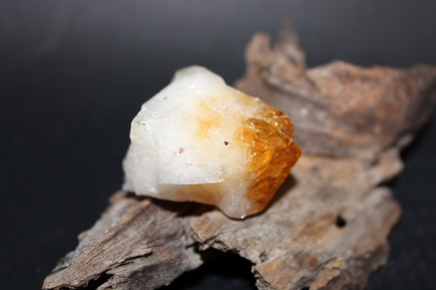 Point - Citrine (tooth) - lge