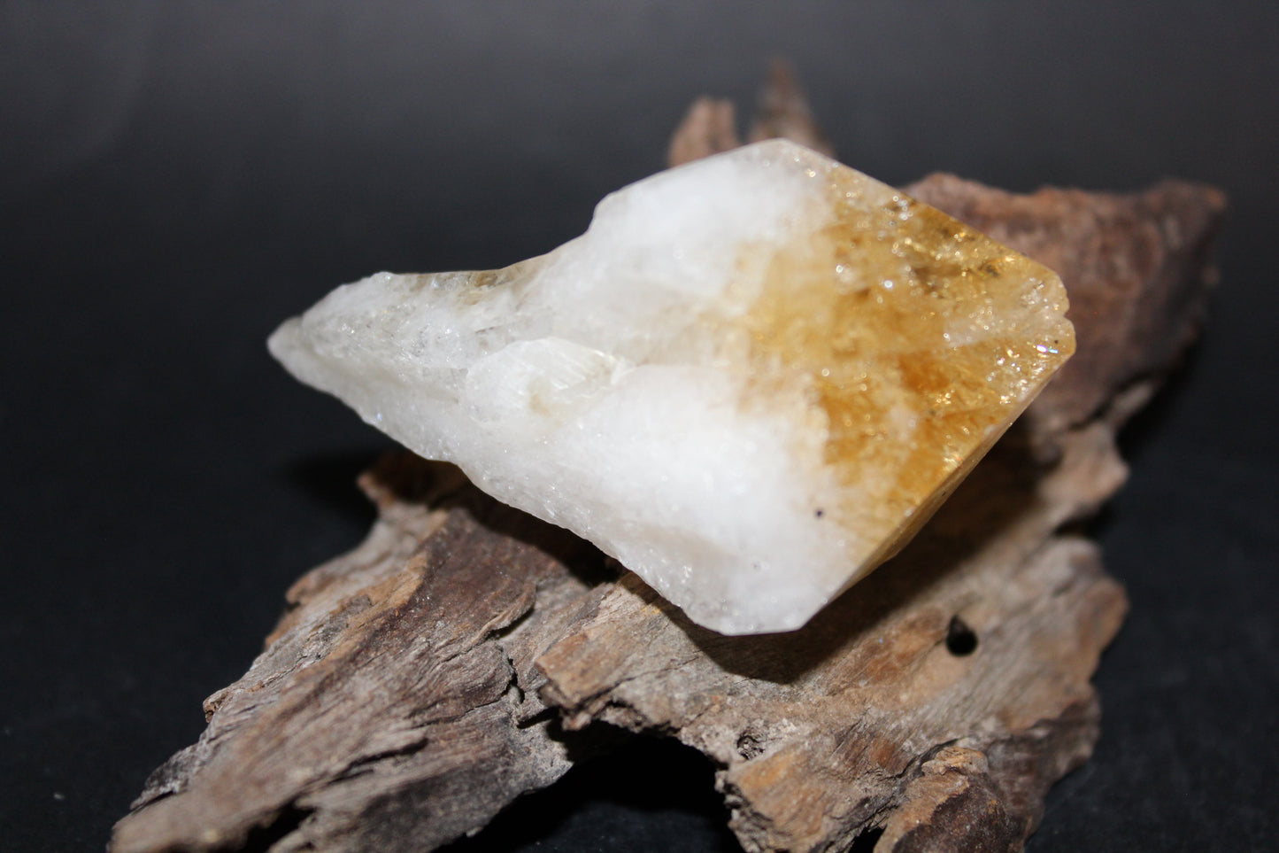Point - Citrine (tooth) - lge