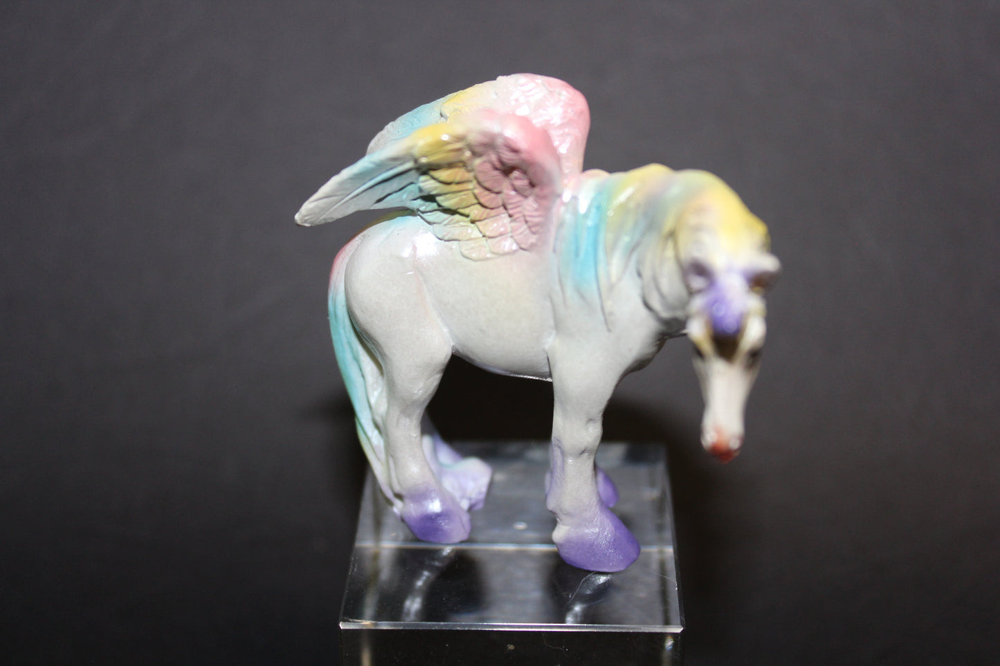 Unicorn/Pegasus (rainbow)