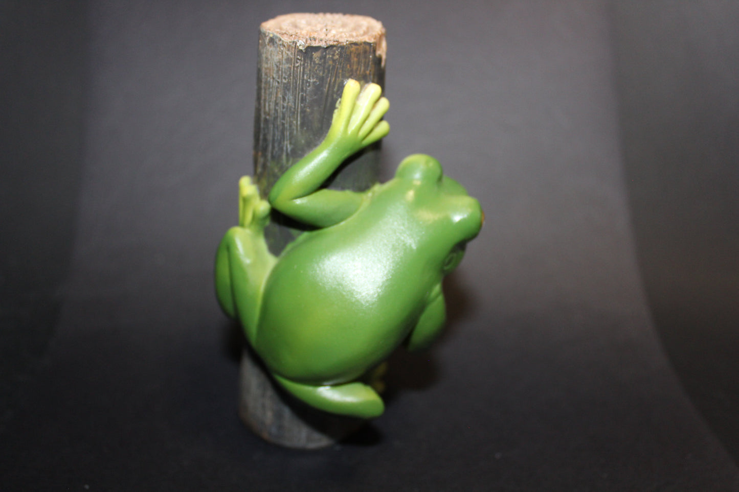 Frog (on log)