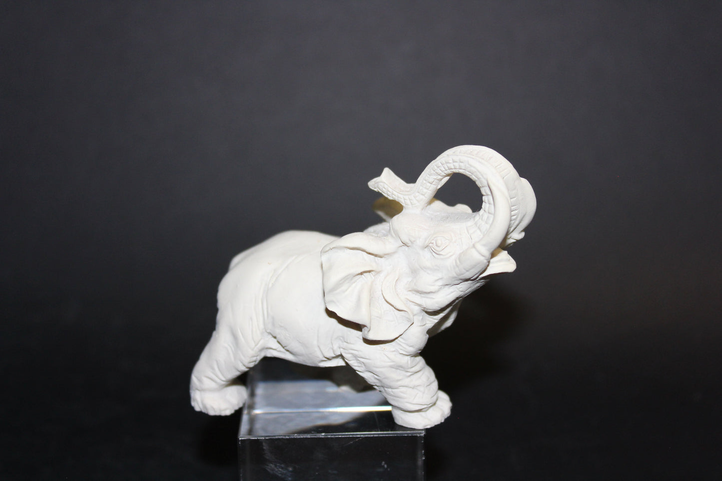 Elephant (ivory)