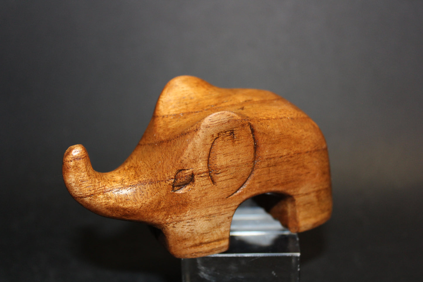 Elephant (timber)