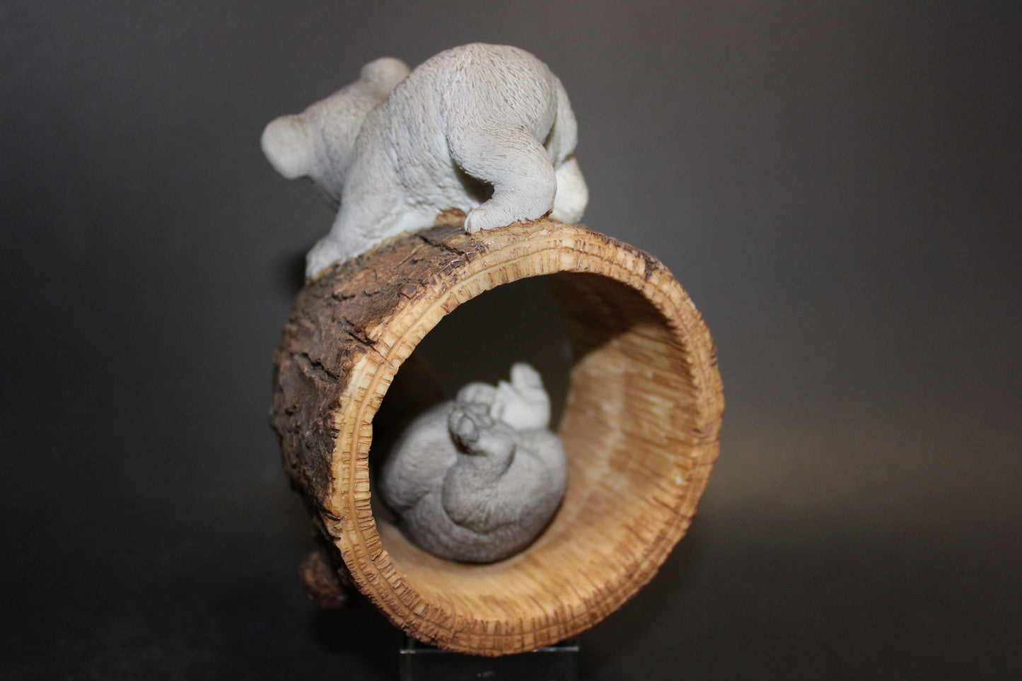 Koala (2 playing in log)