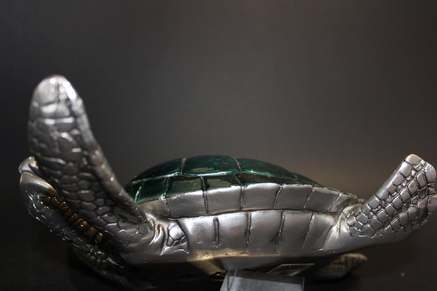 Turtle (Blue/Silver) - lge