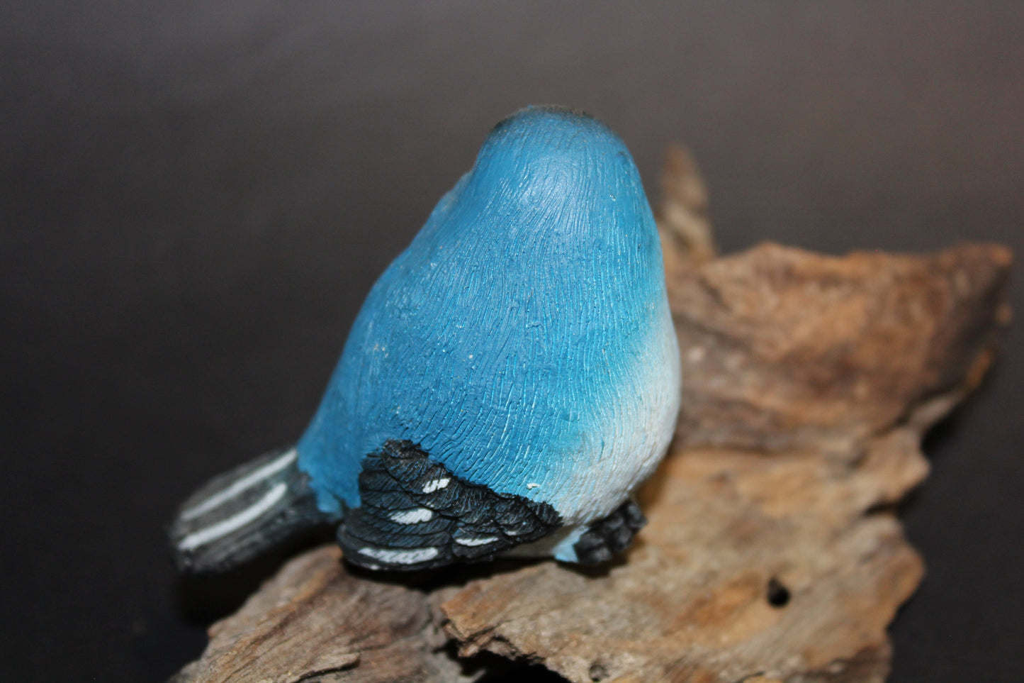 Bird - Wren (blue/black)