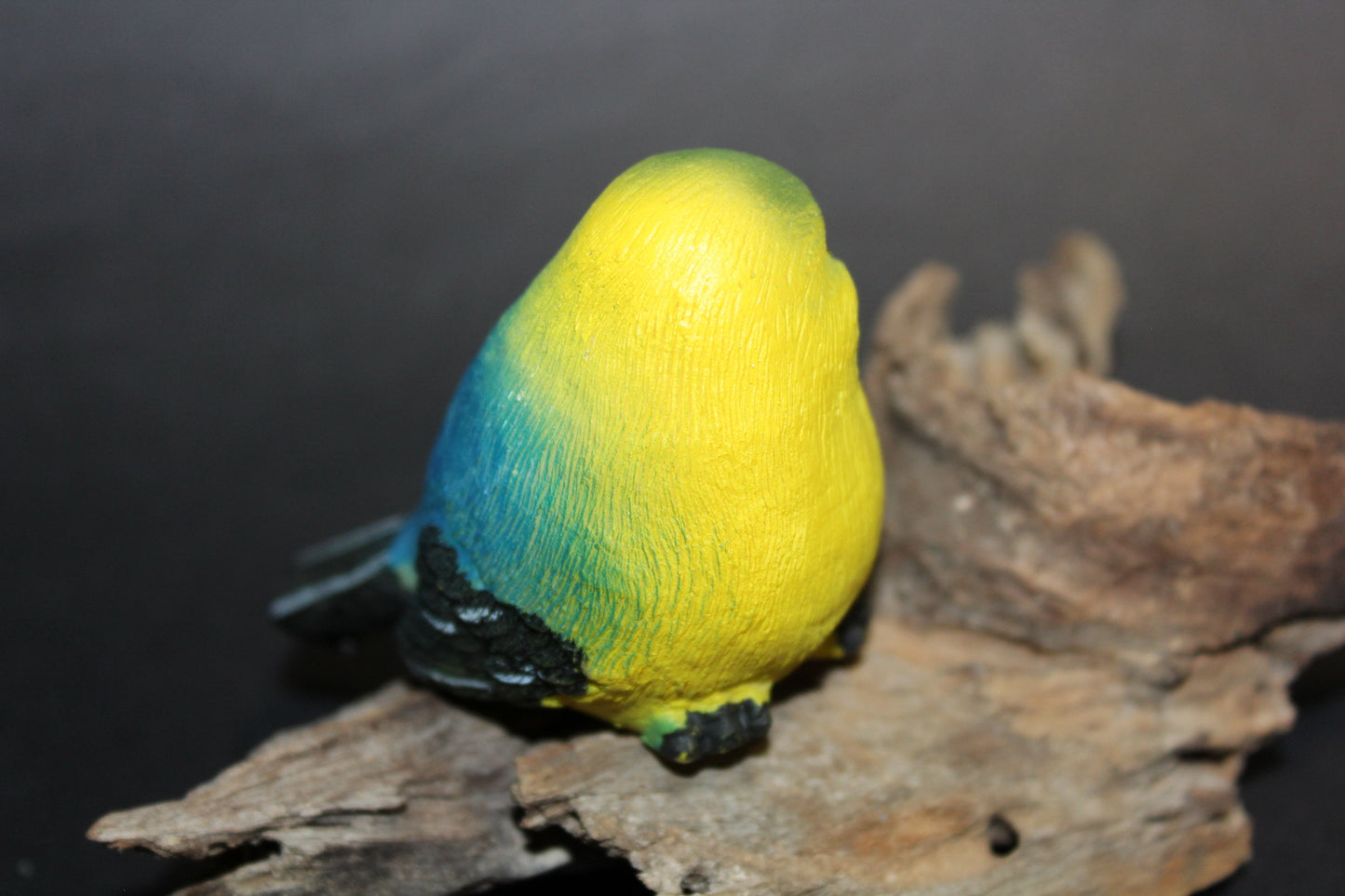 Bird - Wren (yellow/green/blue)