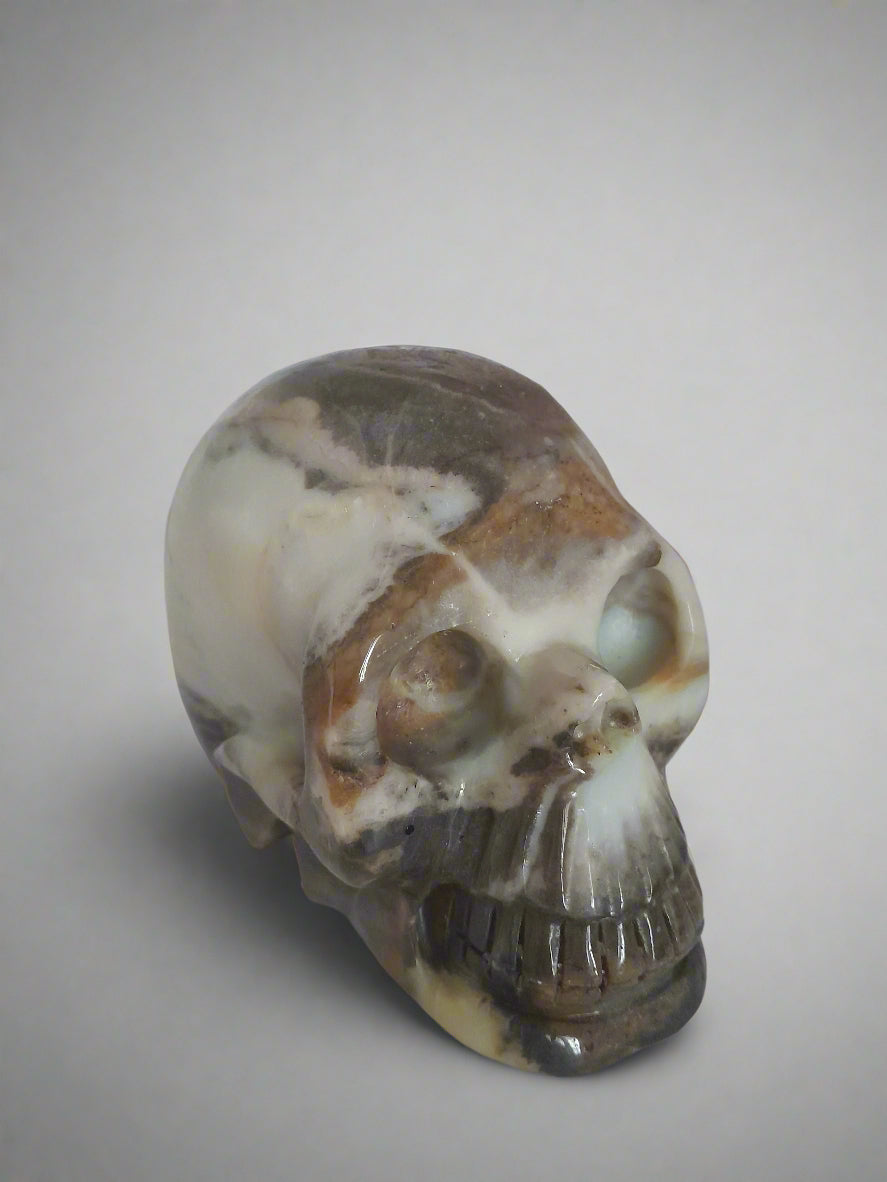 Skull - Amazonite - xlge