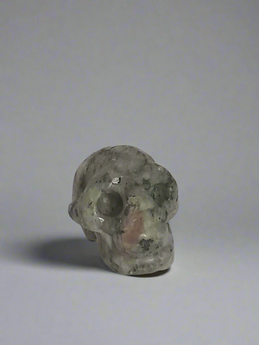 Skull - Jasper - xsml