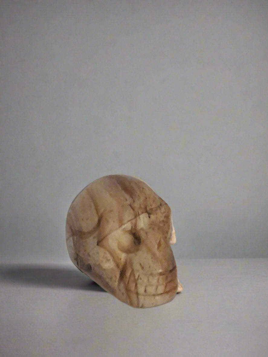 Skull - Picture Jasper - xsml