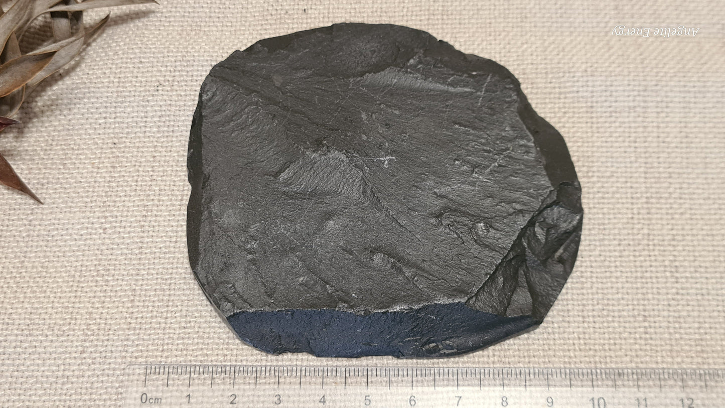 FOSSIL - Ammonite - Raw (on matrix)