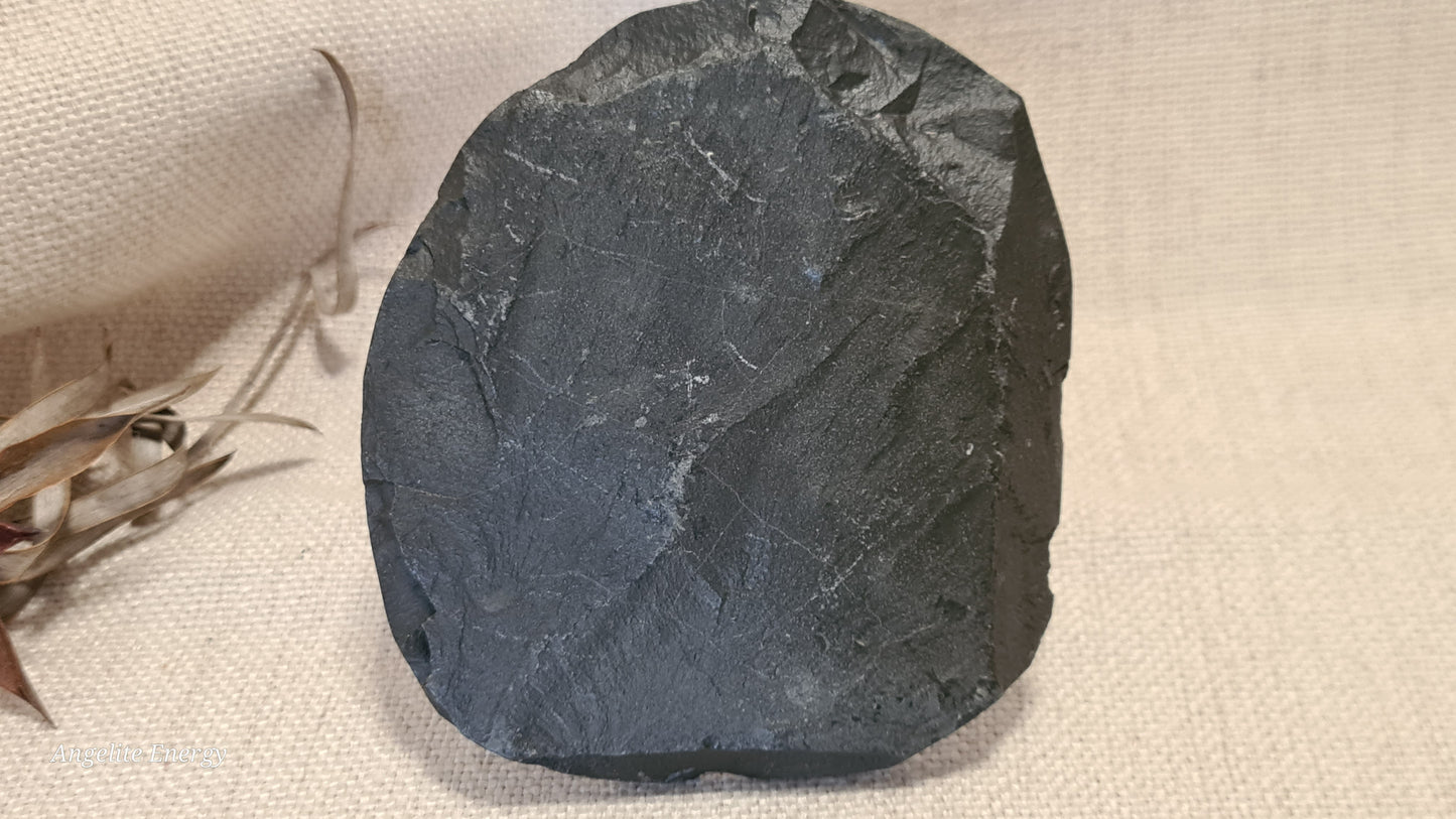 FOSSIL - Ammonite - Raw (on matrix)