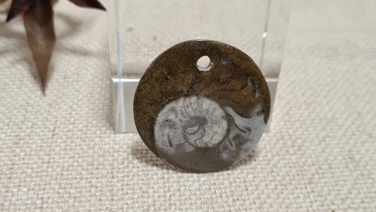 PENDANT - Ammonite Disc