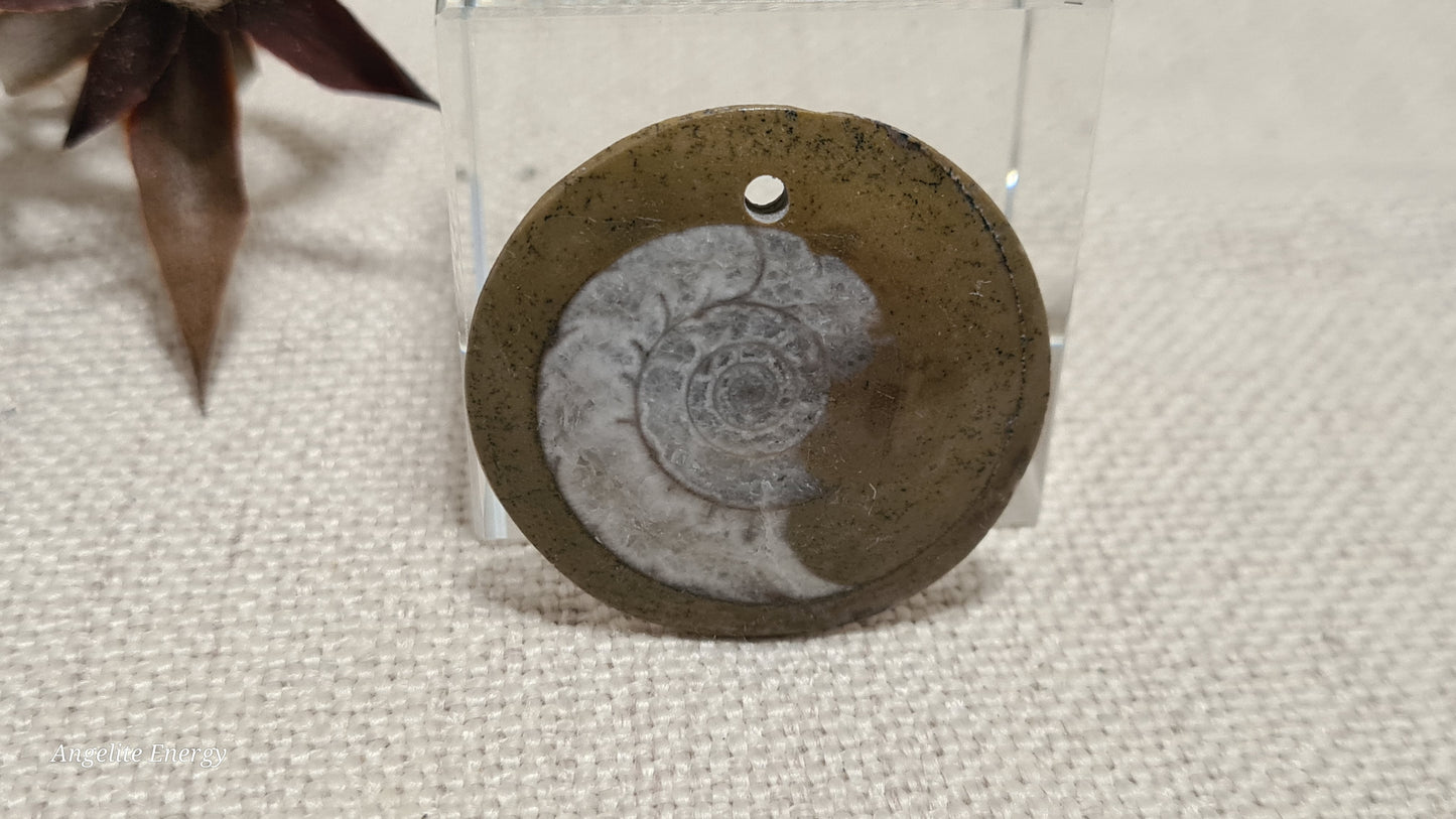 PENDANT - Ammonite Disc