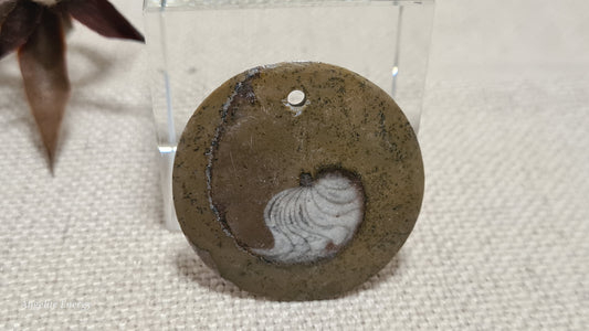 PENDANT - Ammonite Disc