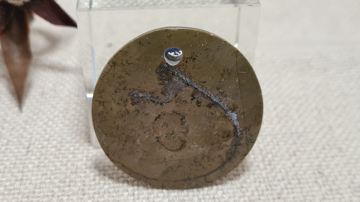 PENDANT - Ammonite Disc