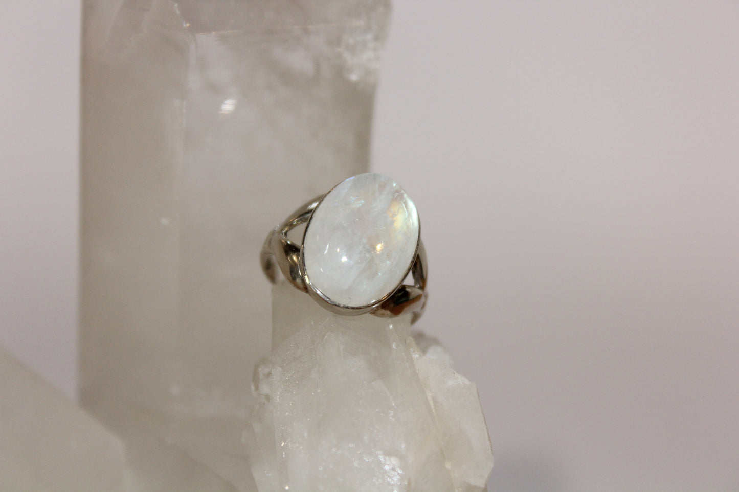Ring - Moonstone - size - 8