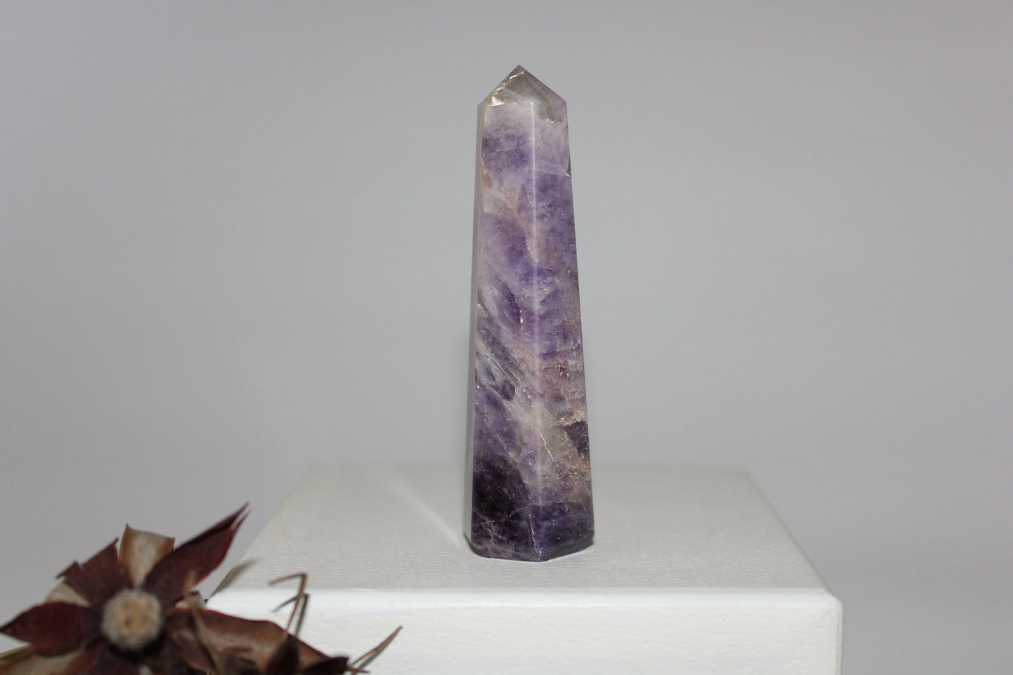 Generator - Amethyst - sml/med