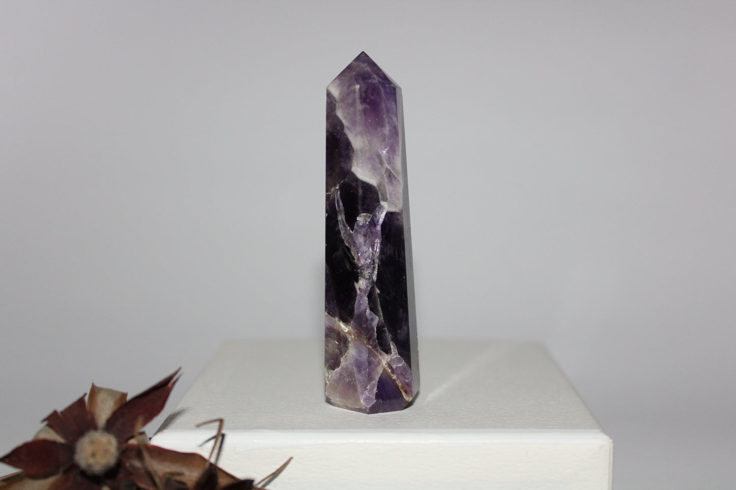 Generator - Amethyst - sml/med