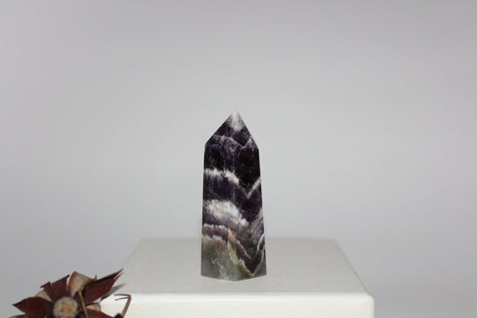 Generator - Amethyst - sml/med