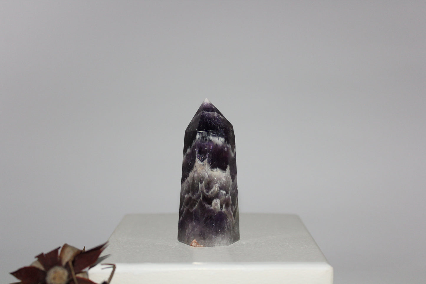 Generator - Amethyst - sml/med