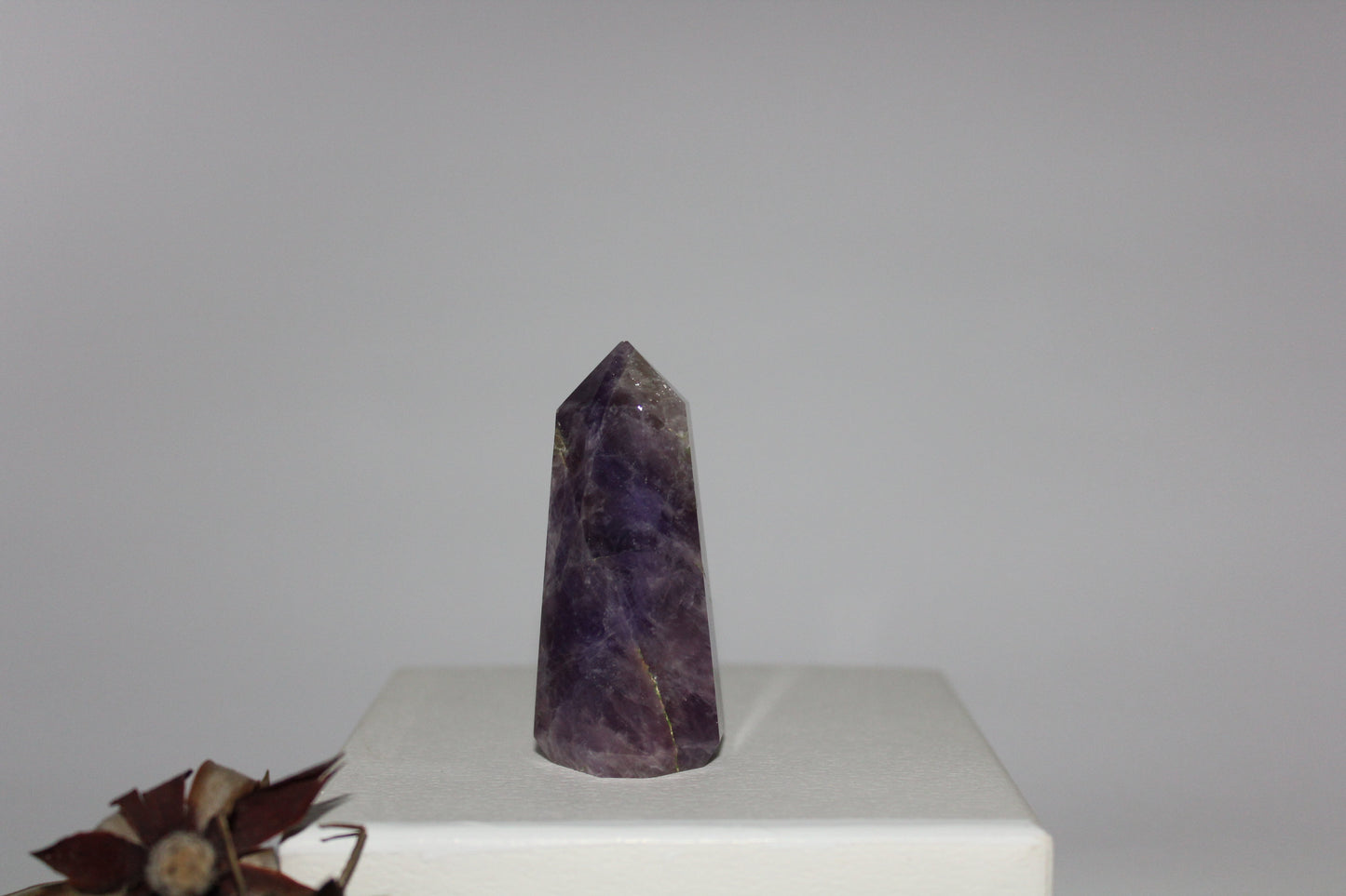 Generator - Amethyst - sml/med