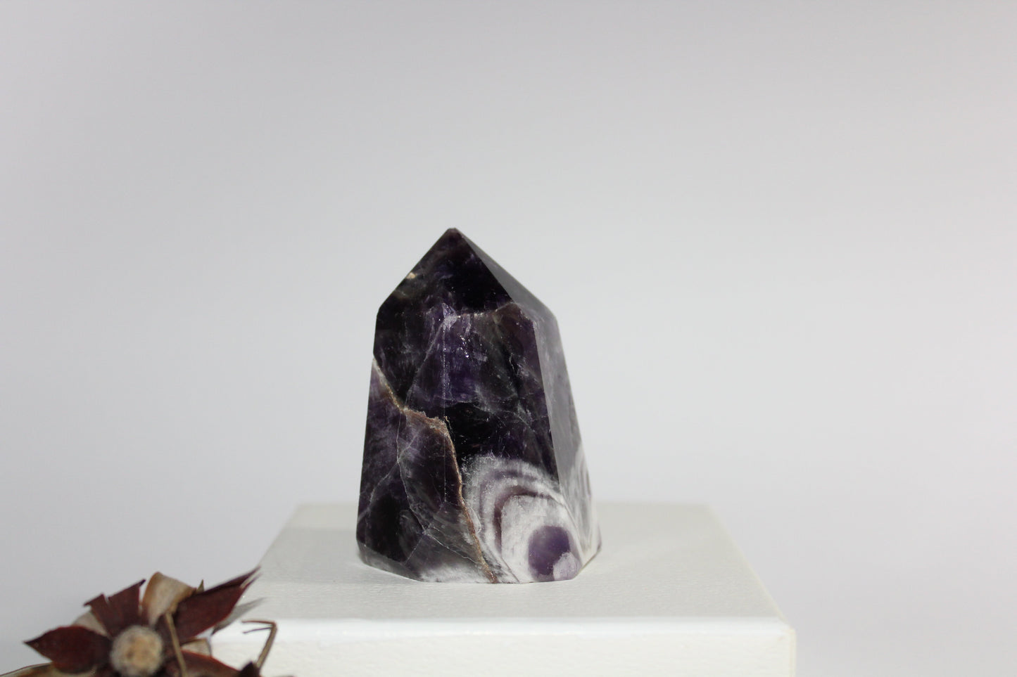 Generator - Amethyst - sml/med