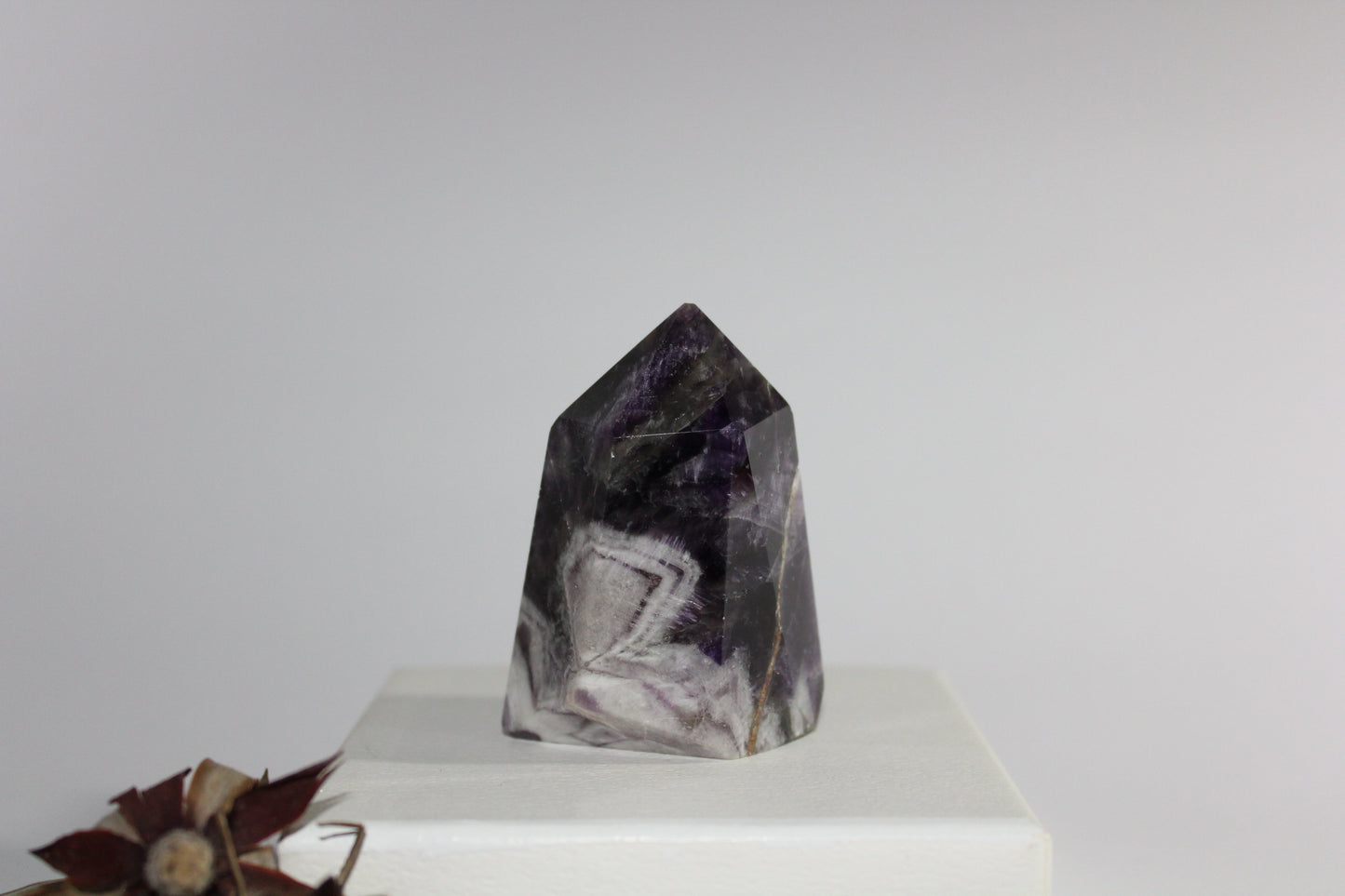 Generator - Amethyst - sml/med