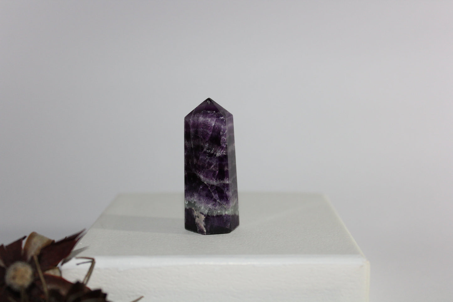 Generator - Amethyst - sml