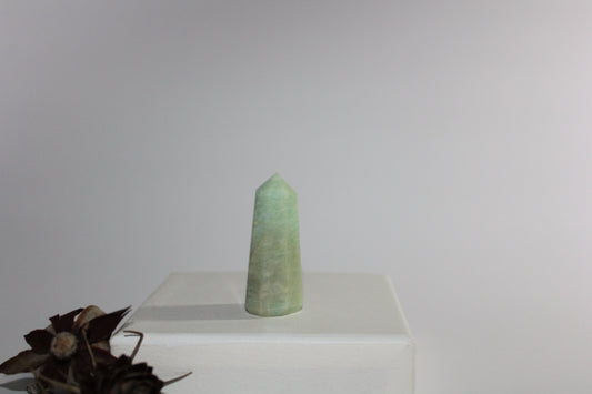 Generator - Amazonite - sml