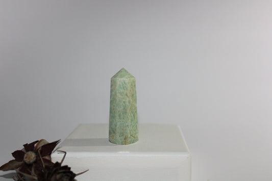 Generator - Amazonite - sml