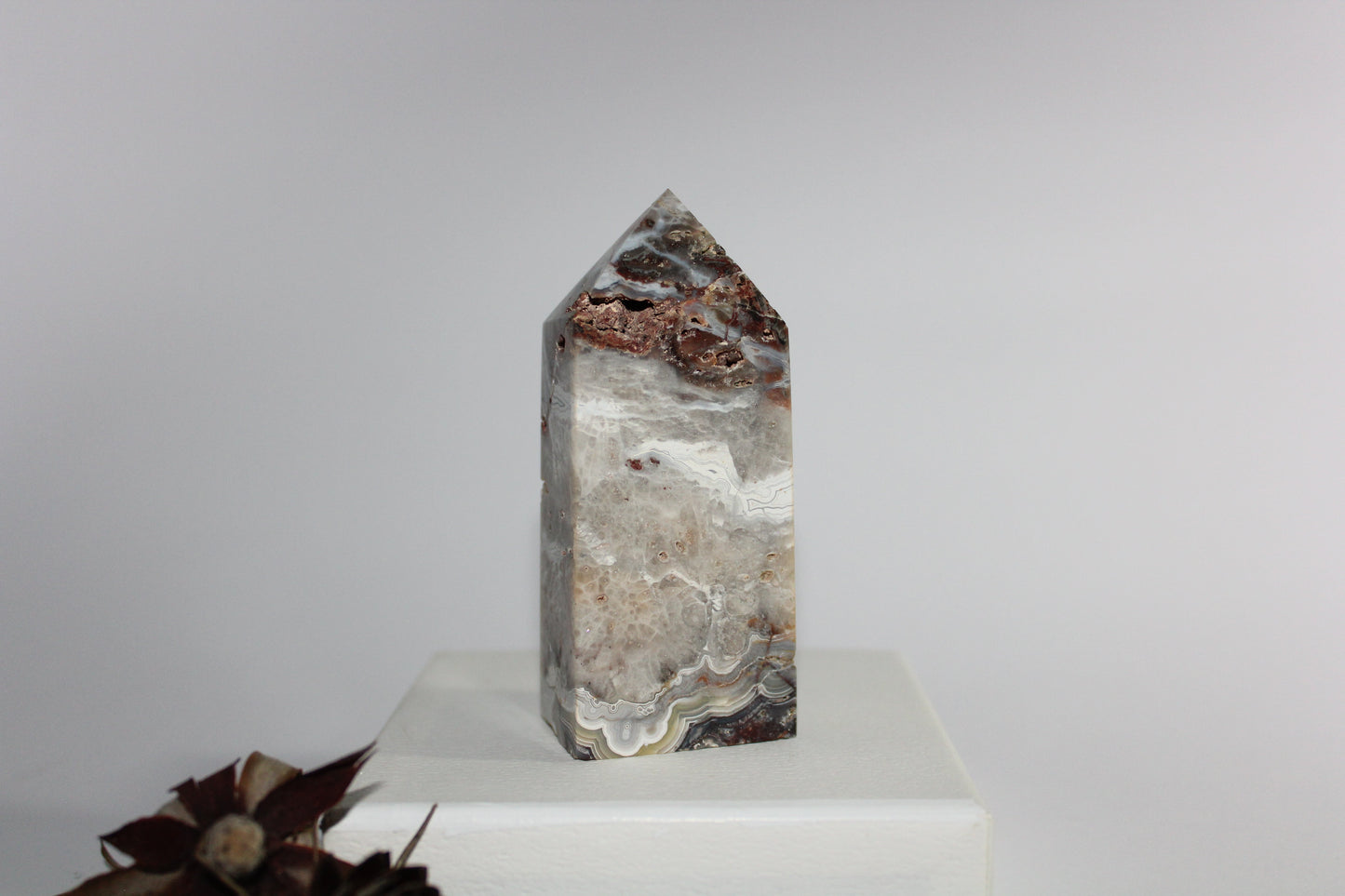 Generator - Mexican Agate - med